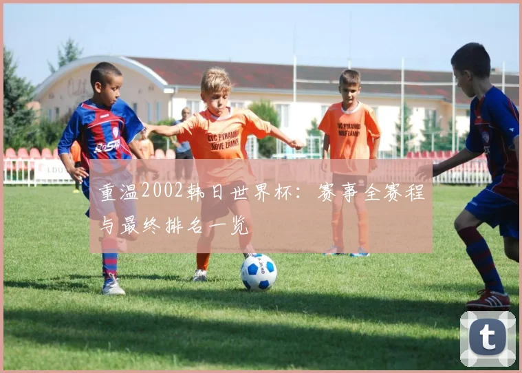 重温2002韩日世界杯：赛事全赛程与最终排名一览